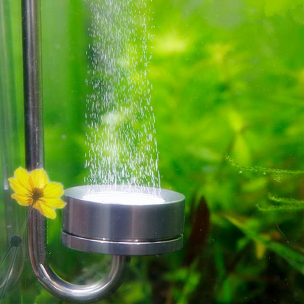 Aquarium tank use stainless steel diffuser