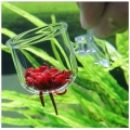 glass feeder for aquarium tank