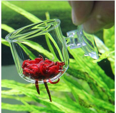 glass feeder for aquarium tank
