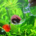 glass feeder for aquarium tank