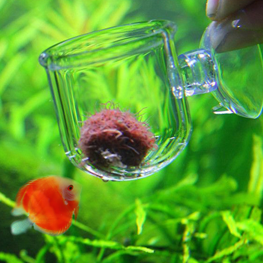 glass feeder for aquarium tank