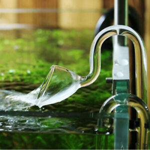 Glass Lily pipe for aquarium tank