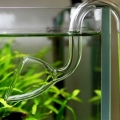 Glass Lily pipe for aquarium tank