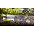 Aquarium tank worm catcher