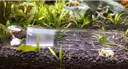 Aquarium tank worm catcher