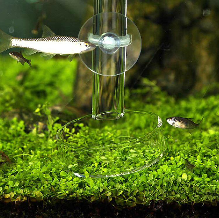 Glass feeding tube
