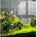Glass feeding tube