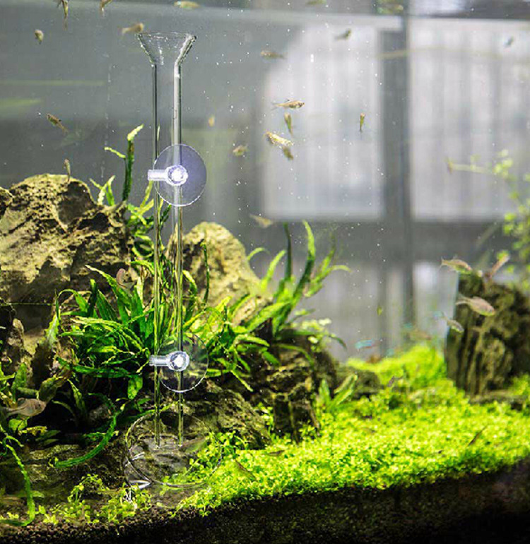 Glass feeding tube