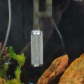 Aquarium Filter Guard for Shrimp and Fish