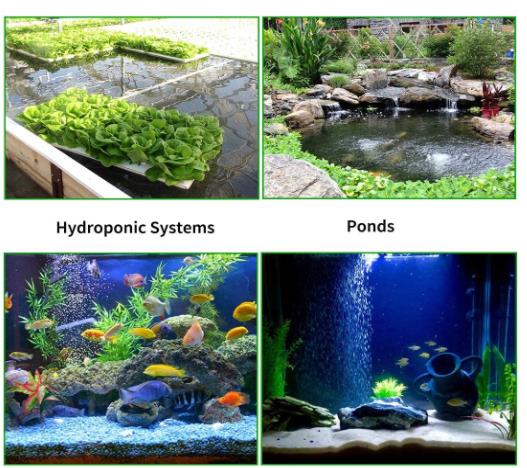 Aquarium Air Stone, Bubble Stone Fish Tank Oxygen Stone Ultra Silent Deep Dissolving Oxygen Diffuser Kit for Aquarium Fi