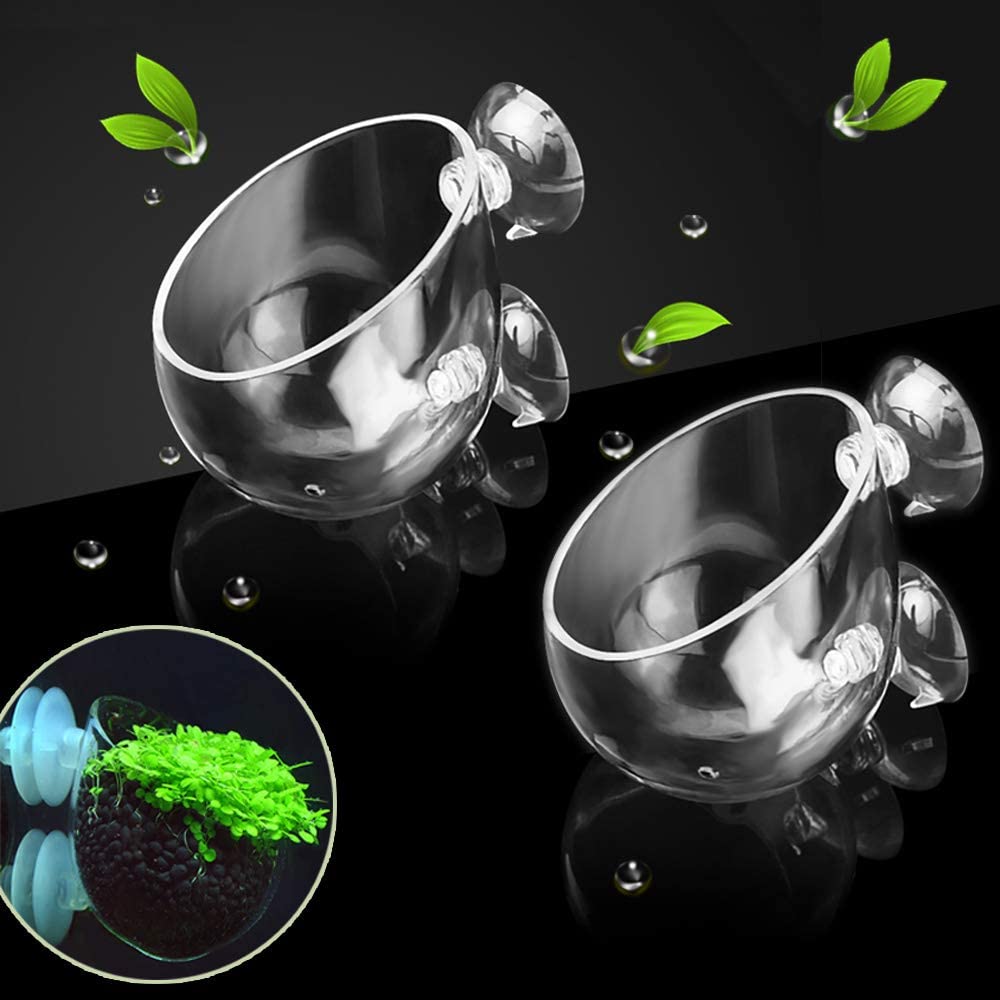 Aquarium plant pod