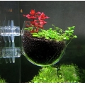 Aquarium plant pod